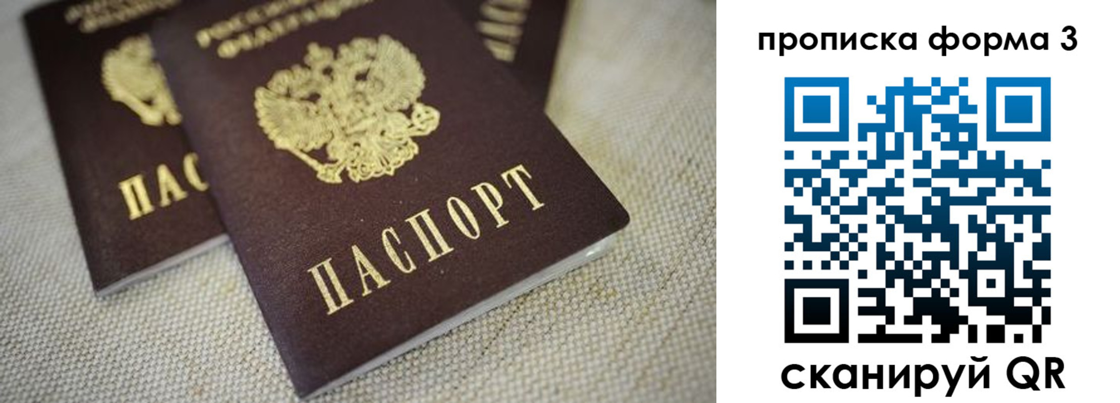 прописка поиск в Выборге